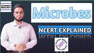 Gram Positive and Gram Negative Bacteria [upl. by Merth]