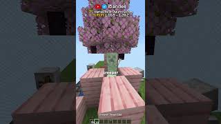 Minecraft Sunucusunda ARKADAÅIMI TROLLEDÄ°MğŸ’›ğŸ’ [upl. by Arihas]