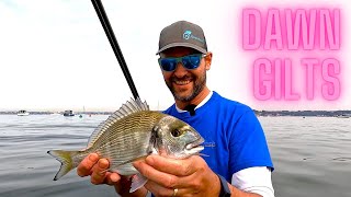 A dawn raid for Gilthead bream in Poole Harbour [upl. by Shaylynn619]