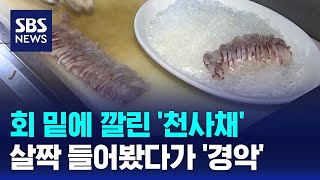 회 밑에 깔린 천사채살짝 들어봤다가 경악  SBS  오클릭 [upl. by Nemhauser]