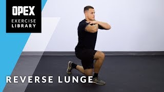 Reverse Lunge  OPEX Exercise Library [upl. by Aleydis348]