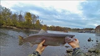 Berrien Springs Fishing 11413 [upl. by Daryn]