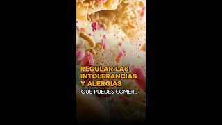 Alergias e Intoleracias Los alimentos fermentados [upl. by Colver11]