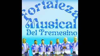 ❤️‍🔥❤️‍🔥Fortaleza musical Del Tremesino 💘 No me preguntes por ella [upl. by Tarrel]