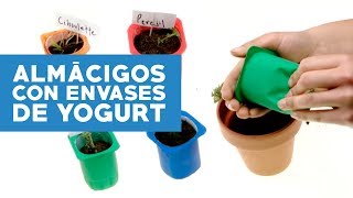 ¿Cómo hacer almácigos con envases de yogurth [upl. by Damarra]