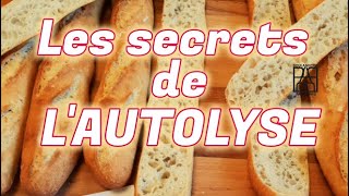 Autolyse pour le pain Mieux comprendre de la technique de lautolyse en boulangerie [upl. by Acceb328]