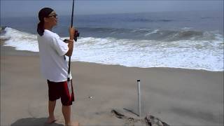 Striped Bass Surf Fishing  Sandy Hook NJ Pugnose Striper and Blackfish 51613 [upl. by Eymaj206]