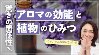 【面白くて勉強になる】○○に注目！意外と知らない「アロマの効能と選び方」 [upl. by Glynias]