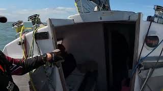 Prophecy Trimaran  Just a quick teaser of fast sailing on a trimaran Farrier 9RX Wilparinna II [upl. by Yreved]