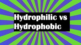 Hydrophilic vs Hydrophobic [upl. by Neitsirk]