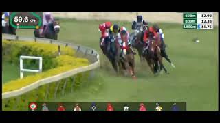 Hyderabad Race No  5  The Nirmal Plate Div1 [upl. by Nekcerb]