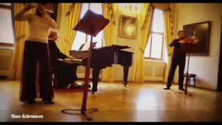 Midday concert at the Lobkowicz palace Prague [upl. by Audrit102]