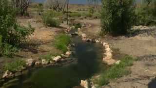 Warm Springs Natural Area  A Jewel in the Desert [upl. by Gerson]