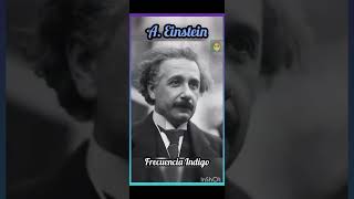 Einstein y la escuela  Grandes Mentiras de la Historia [upl. by Emmalynn]