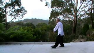 Wu Style Tai Chi 108 Movements Complete [upl. by Irby588]