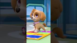 Pup Pup Boogie 🕺💃 pawpatrolshorts dance [upl. by Nedak]