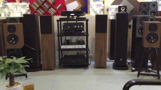 Naim XS 2 VS Neat Momentum SX3i [upl. by Asi]