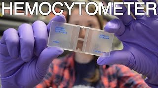 Hemocytometer  What is this thing [upl. by Nnylcaj]