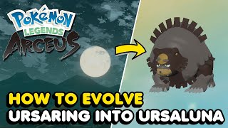 How To Evolve Ursaring Into Ursaluna In Pokemon Legends Arceus [upl. by Oiramel]