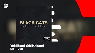 Black Cats  Yeki Bood Yeki Nabood feat Sami Beigi  بلک کتس  یکی بود یکی نبود OFFICIAL TRACK [upl. by Arretnahs283]