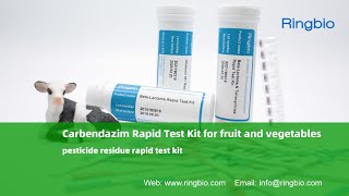 Carbendazim Rapid Test Kit for fruit and vegetables testing  Pesticide Residue Test Kit [upl. by Ecirtael623]