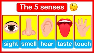 5 Senses Full Video  Sight 👁️  Smell 👃 Hearing👂 Taste 👄 Touch ✋  Easy Learning Video [upl. by Ikcaj]