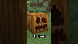 Ta MECHANIKA ZMIENIA WSZYSTKO w MINECRAFT [upl. by Reifnnej]