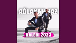 Halebi Yeni Ağlayan Saz [upl. by Hooker]