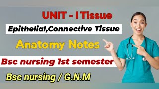 Tissues Notes part 1  Anatomy notes  bscnursing gnm nursingnotes tissue anatomy [upl. by Roley321]