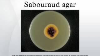 Sabouraud agar [upl. by Frances]