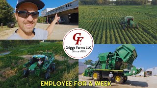 Whats It Like Working For Griggs Farms LLC For A Week [upl. by Lilahk]