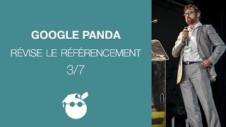 Google Panda révise le référencement Vidéo 37  Conférence Formation [upl. by Aniger]