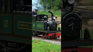 shorts No2 quotPushmiPullyuquot side tank engine at Rainsbrook Valley Railway Rugby CV22 5QD 310523 [upl. by Cchaddie420]