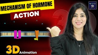 Mechanism of Hormone Action  3D Animation  by Isha Sharma [upl. by Wernsman147]