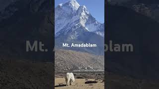 nepal everest ebc mountains travel amadablam himalayas shorts travelyaksolotravelnature [upl. by Donatelli]