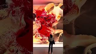 Incredible Immersive Art Audiovisual [upl. by Emor]