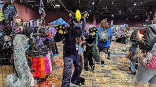 Popular Fur Finn the Panther and more furries at BLFC [upl. by Adley]