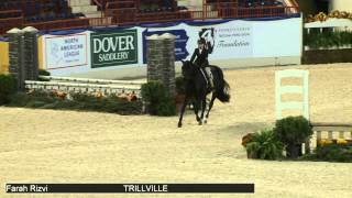 689 TRILLVILLE Farah Rizvi Class 7 Medium Pony Hunter Conformation [upl. by Yendroc]