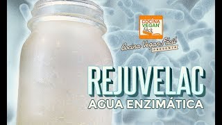 Rejuvelac agua con enzimas y probióticos  Cocina Vegan Fácil [upl. by Rosalie]