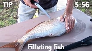 How to Fillet Fish [upl. by Winnie]