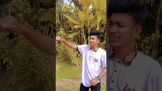 Arr jabo na bagun tuleta🤣🤣🤣🤣🤣🤣🤣 bangladesh funny comedy bdb funnyshorts partofbdbadboy03 bdb [upl. by Glick]