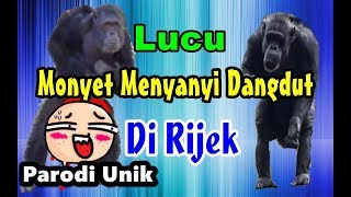 Monyet Nyanyi dan Joget  Parodi Dangdut Di Rijek Koplo  Jenita Janet [upl. by Airbmat971]