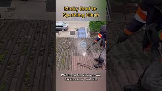 Murky roof to Sparkling clean pressurewashing satisfying [upl. by Perrin893]