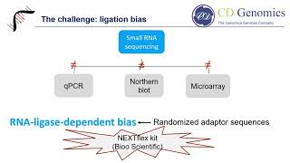 Introduction to Small RNA Sequencing Challengs and Workflow [upl. by Colpin]