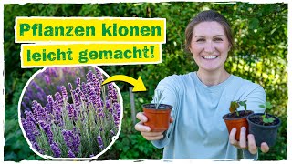 VEGETATIVE VERMEHRUNG Pflanzen über Pflanzenteile vermehren🌱 [upl. by Dwight381]