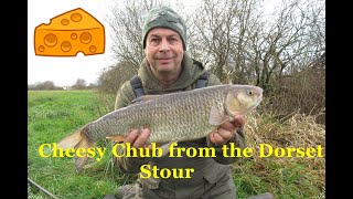 Fishing for chub with cheese paste on the Dorset Stour [upl. by Ahsad]