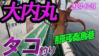 【大内丸タコ釣り】2024 6 24 那珂湊港よりエギタコ釣りに行ってきました。 [upl. by Toscano894]