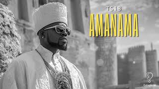 TS13  Amanama Radio Mix [upl. by Mcleod]