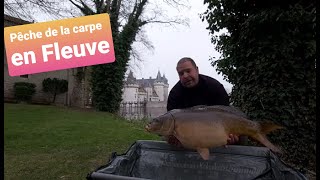 Pêche de la carpe en fleuve loire [upl. by Harima201]