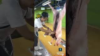 Daily routine as a Butcher at Naga City District Abattoir NCDA [upl. by Novel]